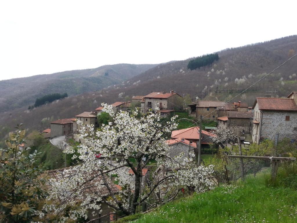 Il Borgo Dei Corsi - Charming Holiday Apartments Ortignano Raggiolo Buitenkant foto