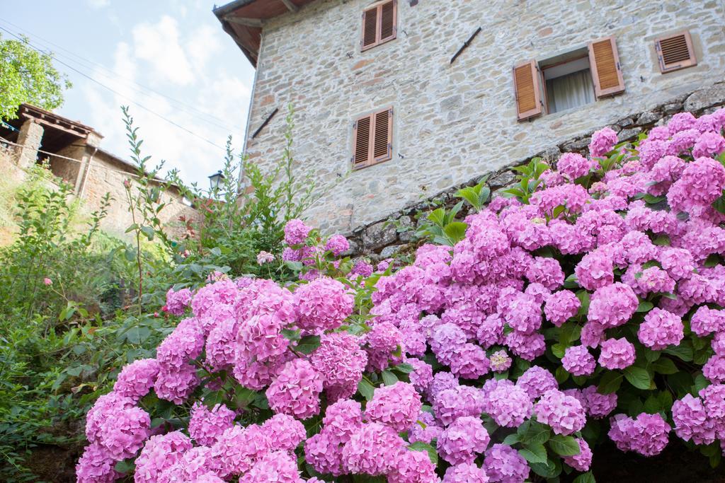 Il Borgo Dei Corsi - Charming Holiday Apartments Ortignano Raggiolo Buitenkant foto